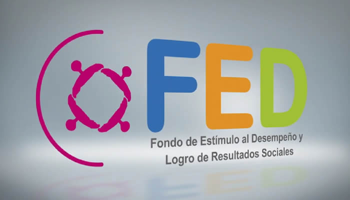 MIDIS - F.E.D. MIDIS